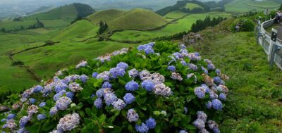 Pioneiro do minibypass gástrico nos Açores