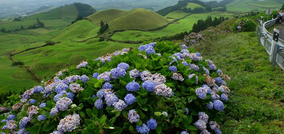Pioneiro do minibypass gástrico nos Açores