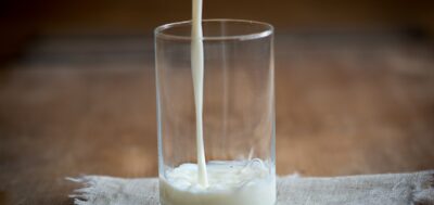 A Proteína na Dieta Líquida