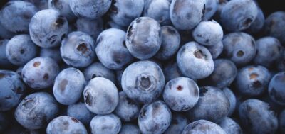 Consumir mirtilos pode ter impacto na obesidade e na diabetes